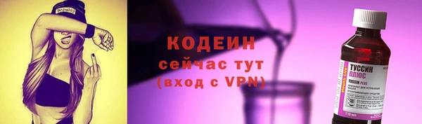 шишки Переславль-Залесский
