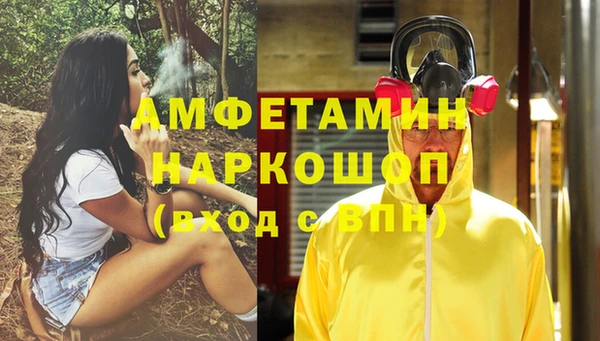 шишки Переславль-Залесский