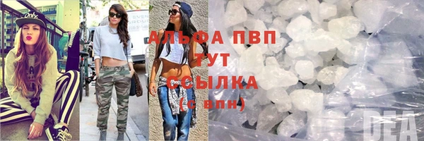 шишки Переславль-Залесский