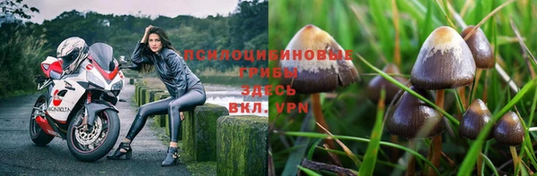 прущая мука Пестово