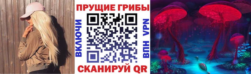 Псилоцибиновые грибы GOLDEN TEACHER  как найти   Белозерск 